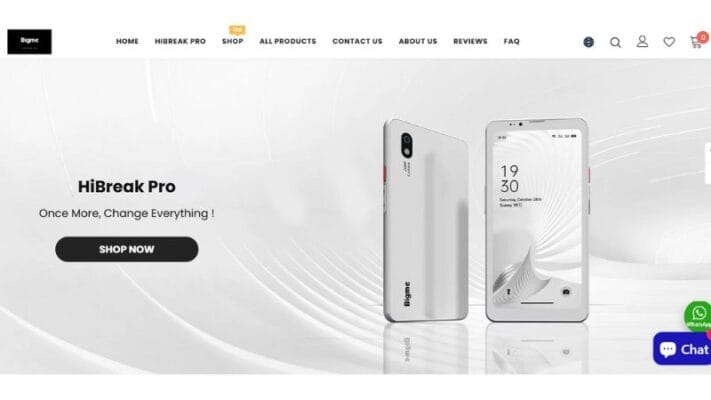 Bigme 5 Review King