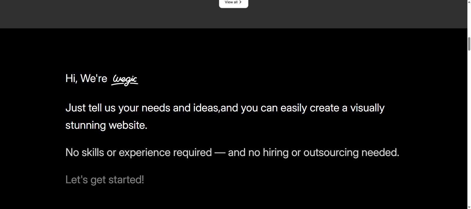 Wegic AI brand introduction chat interface