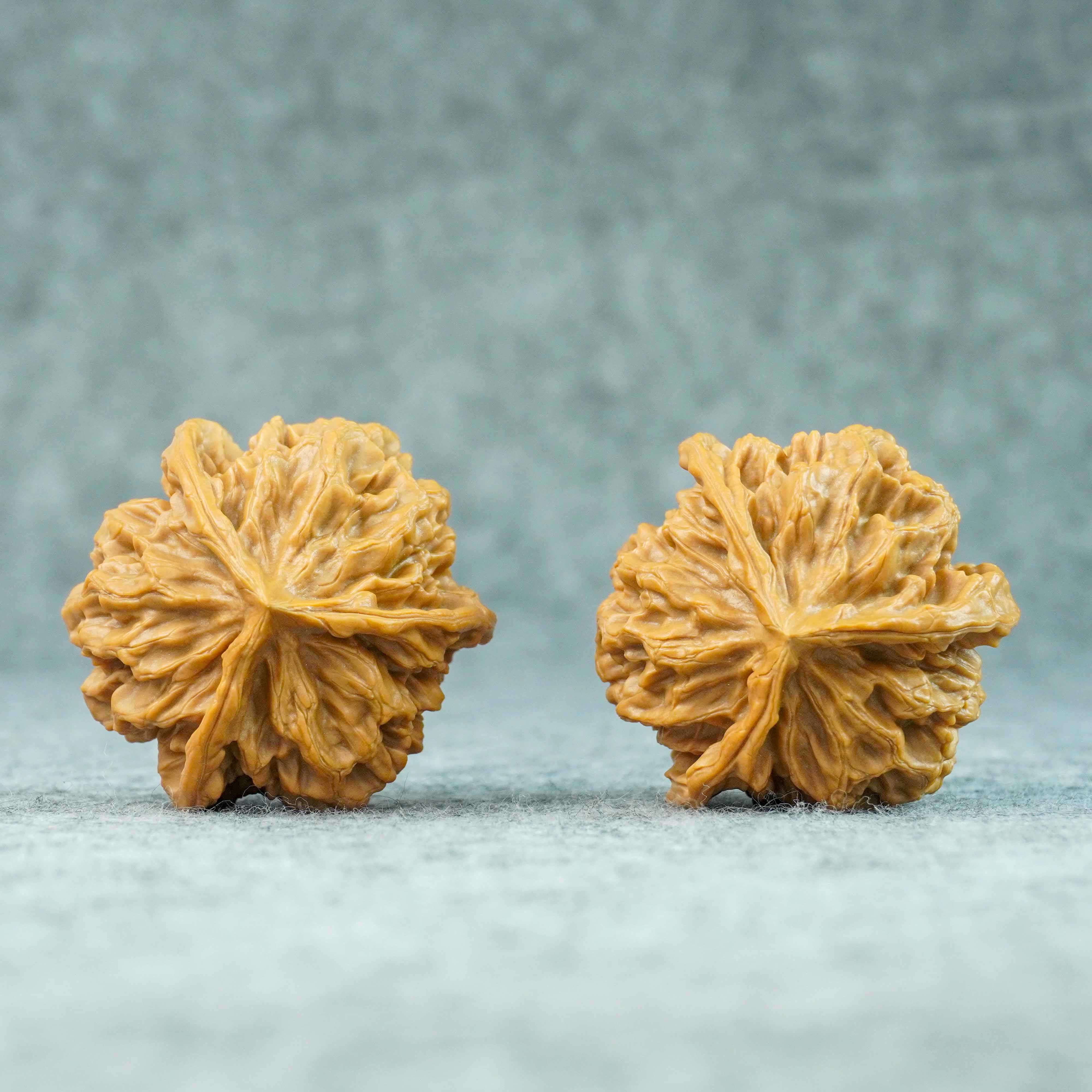 Collector-grade lion head walnut at the top of the range