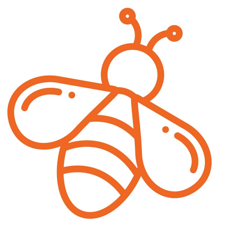 everbee